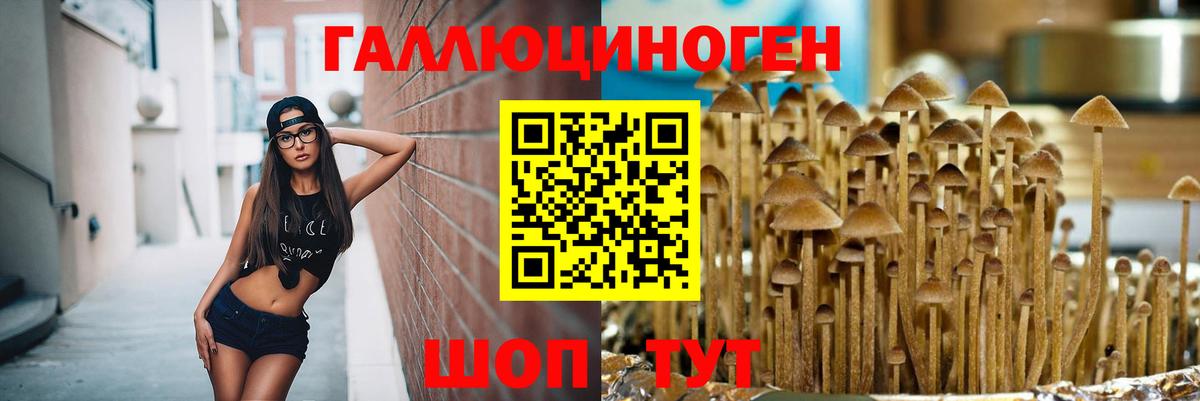 Галлюциногенные грибы Cubensis  Вход с VPN  Светлоград 